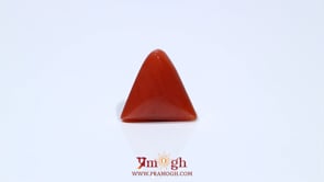 Red Coral - 4.82 Carat