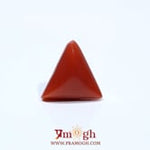 Red Coral - 4.95 Carat
