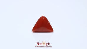 Red Coral - 4.85 Carat
