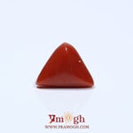 Red Coral - 4.85 Carat