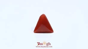 Red Coral - 4.88 Carat