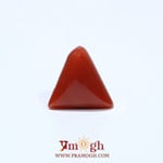 Red Coral - 4.88 Carat