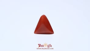Red Coral - 4.8 Carat