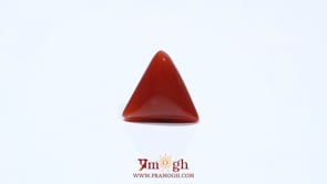 Red Coral - 4.87 Carat