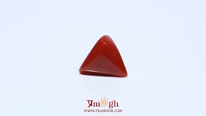 Red Coral - 4.8 Carat