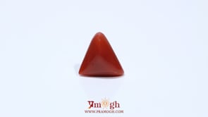 Red Coral - 4.85 Carat