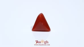Red Coral - 4.8 Carat