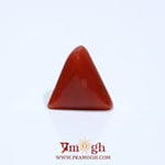 Red Coral - 4.8 Carat