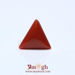 Red Coral - 4.85 Carat
