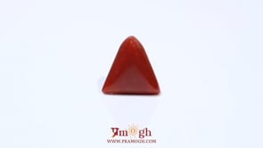Red Coral - 4.95 Carat