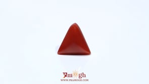 Red Coral - 4.83 Carat