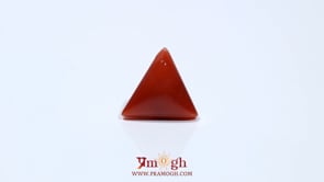 Red Coral - 4.8 Carat