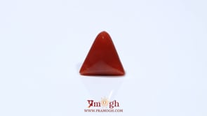 Red Coral - 4.8 Carat
