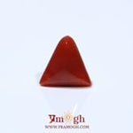 Red Coral - 4.8 Carat
