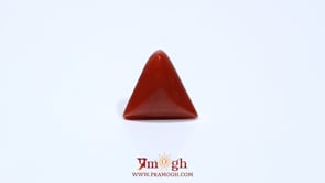 Red Coral - 4.8 Carat