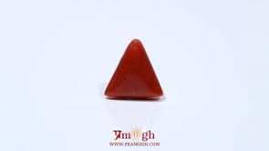 Red Coral - 4.88 Carat