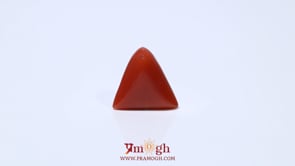 Red Coral - 4.8 Carat