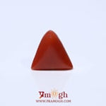 Red Coral - 4.8 Carat