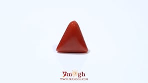 Red Coral - 4.8 Carat