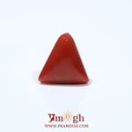 Red Coral - 4.8 Carat