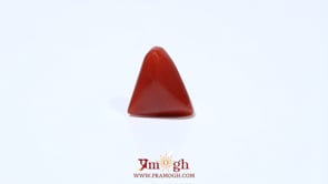 Red Coral - 4.92 Carat