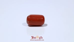 Red Coral - 6.65 Carat