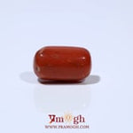 Red Coral - 6.65 Carat