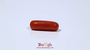 Red Coral - 5.45 Carat