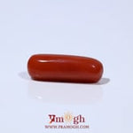 Red Coral - 5.45 Carat