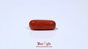 Red Coral - 5.75 Carat