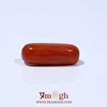 Red Coral - 5.75 Carat