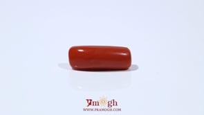 Red Coral - 6.15 Carat