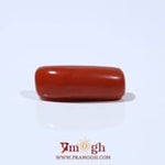 Red Coral - 6.15 Carat