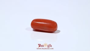 Red Coral - 6.7 Carat