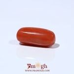 Red Coral - 6.7 Carat