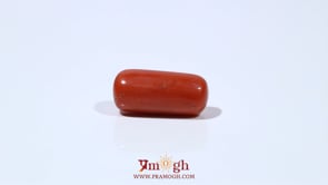 Red Coral - 7.4 Carat