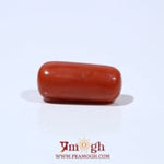 Red Coral - 7.4 Carat