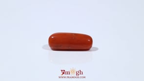 Red Coral - 5.85 Carat