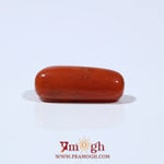 Red Coral - 5.85 Carat