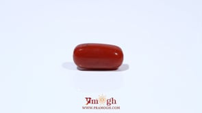 Red Coral - 5.15 Carat