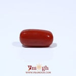 Red Coral - 5.15 Carat