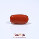 Red Coral - 5.55 Carat