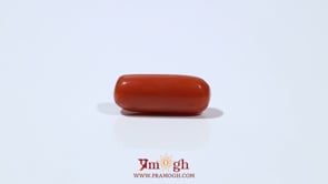 Red Coral - 5.65 Carat