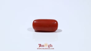 Red Coral - 7 Carat