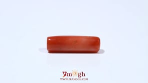 Red Coral - 6.3 Carat
