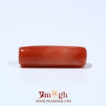 Red Coral - 6.3 Carat