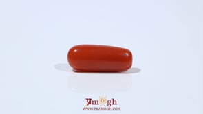Red Coral - 6.2 Carat