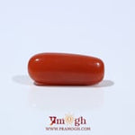 Red Coral - 6.2 Carat