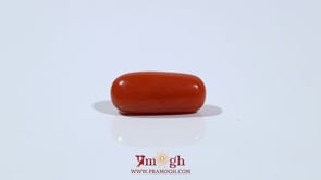 Red Coral - 6.6 Carat