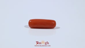 Red Coral - 4.95 Carat